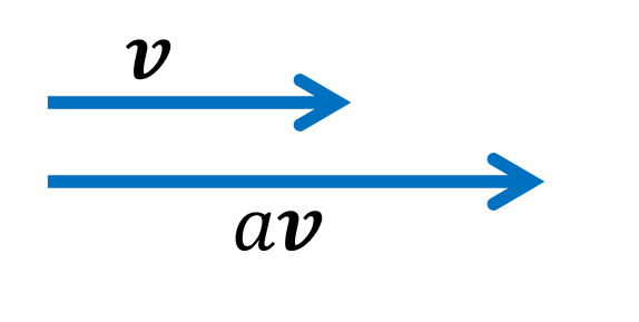 image-20210131191838217