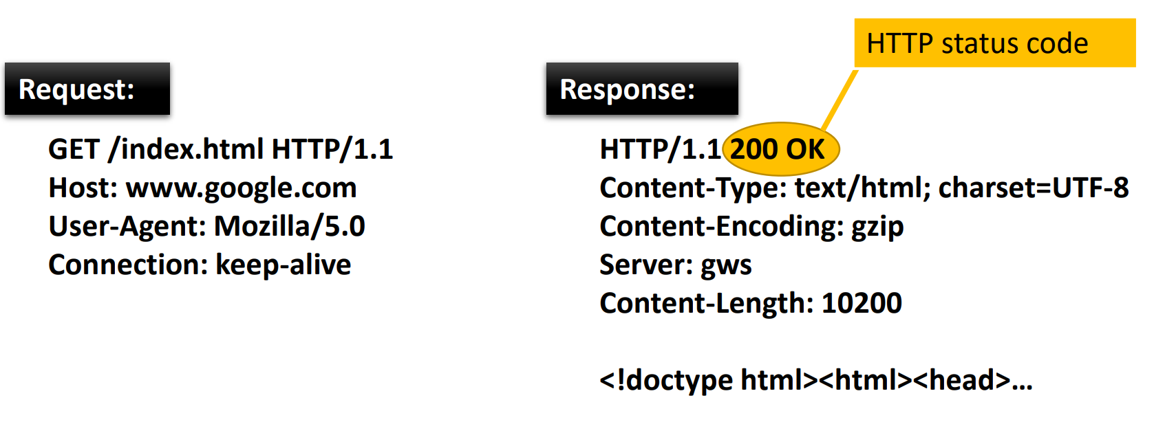 image-20201118192028686